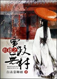 红楼之贾政无材 白衣慕卿相